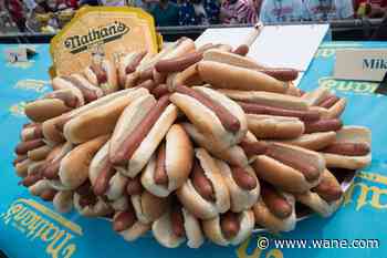 What's the perfect American hot dog? Depends where you grew up