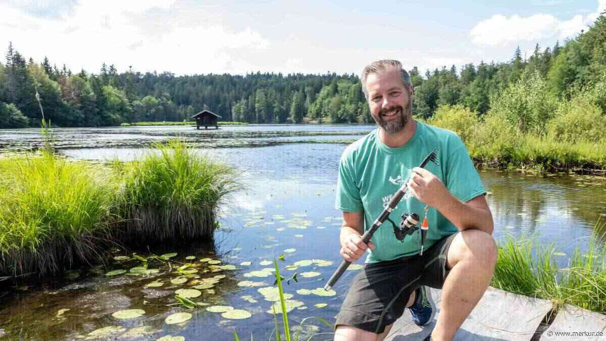 Biber stauen Wasser ab: Angelclub öffnet Dämme für den Hackensee