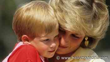 Prince Harry's heartbreaking request to Princess Diana before she died