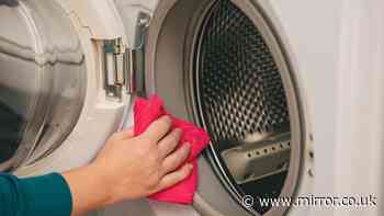 Anyone with a loud washing machine urged to try this before buying a new one