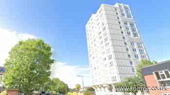 Man dies after fall from Essex tower block in 'disturbance' as 'big scream heard'