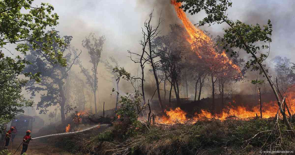 Bosbranden teisteren Zuid-Europa: 2300 hectare verwoest in Spanje en vier gewonden in Portugal