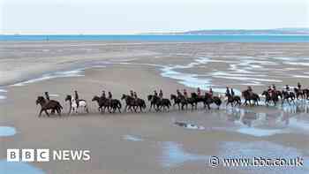 Cavalry horses hit the beach after parade season