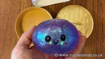 'Squishy' toys that pose danger to children seized from Hull shops