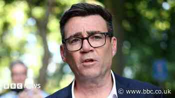 Burnham rules out calling early election as PM