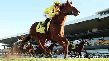 General Salute back to winner’s circle after long battle with injury