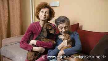 Hundebesitzer leben länger: Ein Arzt erklärt, was wirklich dahintersteckt