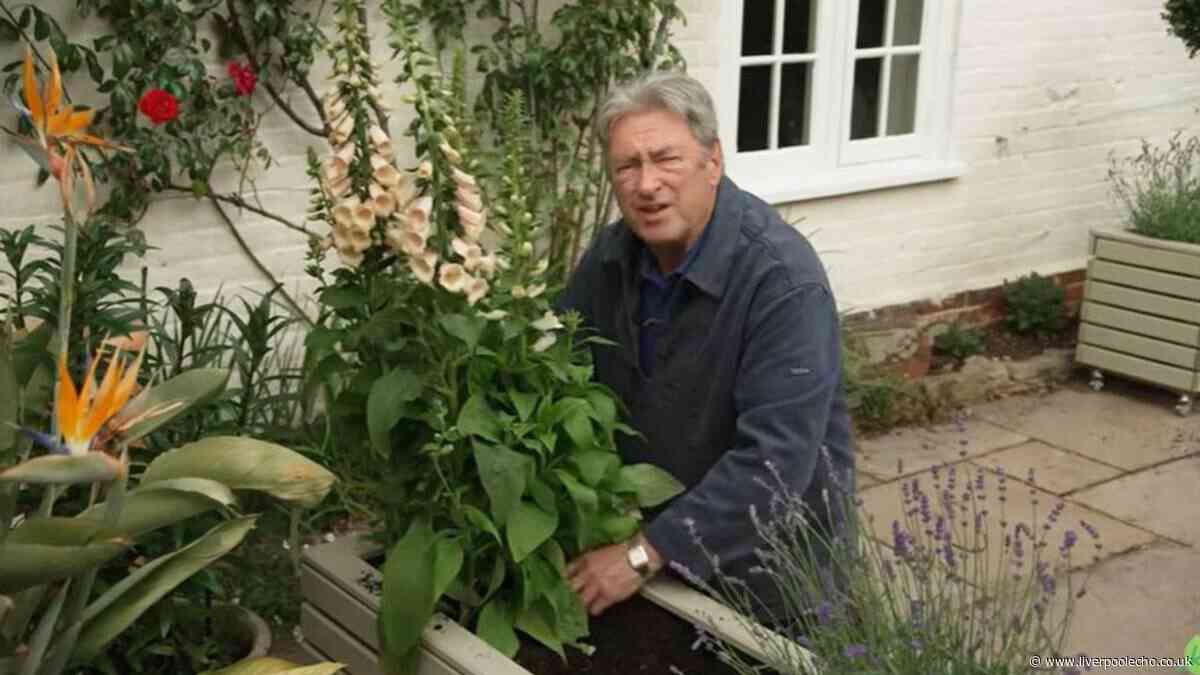 Alan Titchmarsh adds plant to patio that will 'flower its socks off' all summer