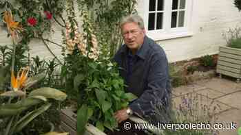 Alan Titchmarsh adds plant to patio that will 'flower its socks off' all summer