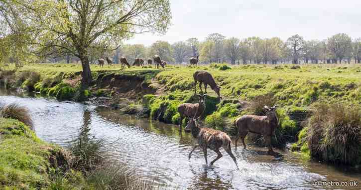 Why stop at 30 minutes? The best mega walks in London
