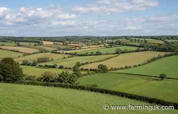 Farmers urged to act as SFI26 budget hits halfway point