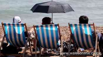 New UK hosepipe ban announced as 34C heatwave approaches