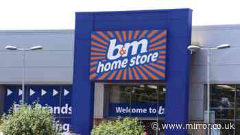 Berries will last days longer when kept in £4 B&M 'fridge basket'