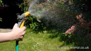 Hosepipe ban to start in days amid UK heatwave with Brits facing scorching 34C