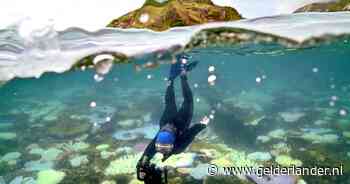 Grote zorgen om bedreigde koraalriffen, toch komt Great Barrier Reef niet op Unesco-lijst