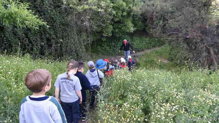 Aprender en la naturaleza: los colegios chilenos que reemplazan la sala de clases por bosques, cerros y humedales
