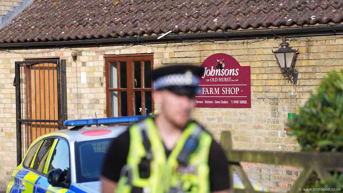 Family of boy, 3, 'thrown into crocodile enclosure' issue grim surgery update