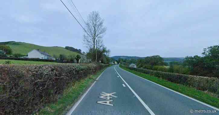 Man ‘tried to kill ex by deliberately crashing into BT telegraph pole’