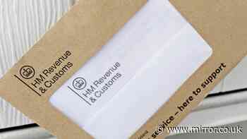 HMRC plan 'would mean being fined even when paying on time'