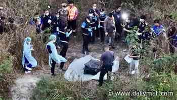 Grim new details emerge of chilling similarities between the Thai girl found dead in a suitcase and two others who suffered the same fate - as teenager's cause of death is revealed