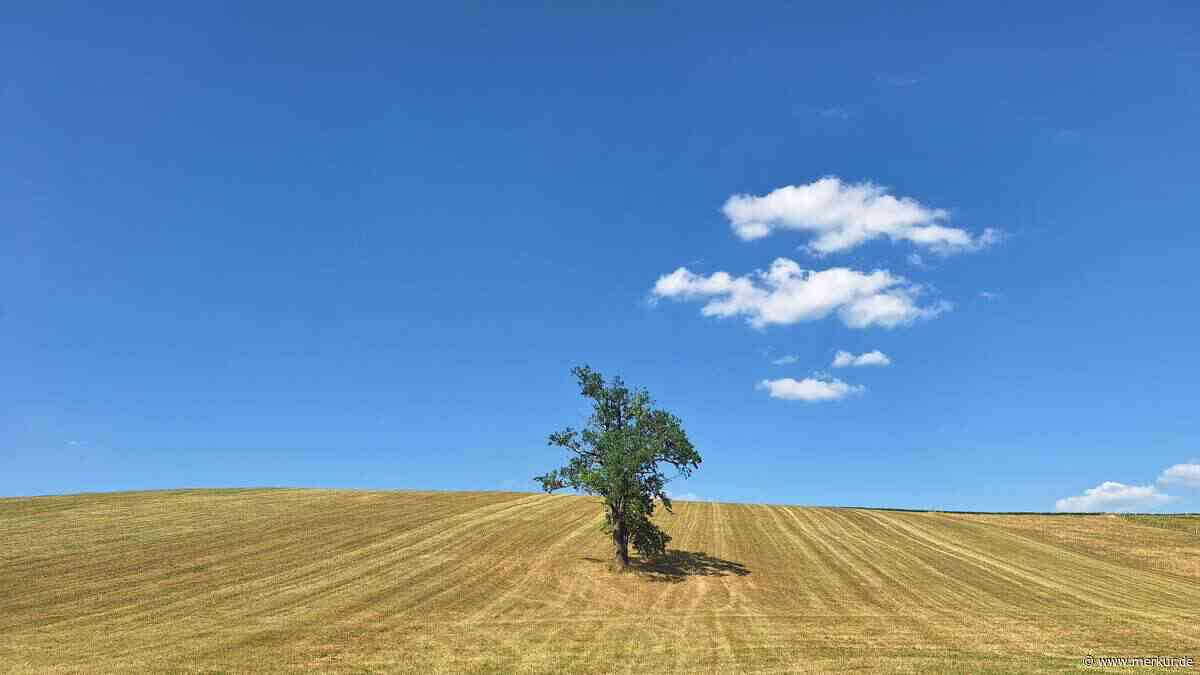 Reihenweise neue Hitzerekorde: 27. Juni war drittwärmster Tag seit 1781