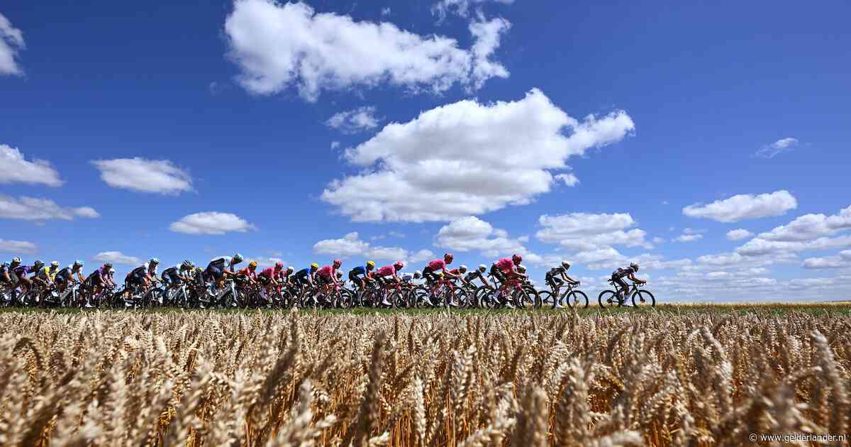 Van bus tot waaier: zo begrijp je de geheimtaal van de Tour de France