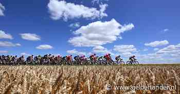 Van bus tot waaier: zo begrijp je de geheimtaal van de Tour de France