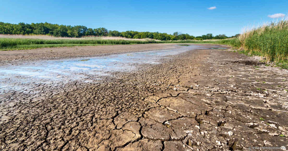 Acqua, una battaglia dopo l’altra – “La trave nel piatto”, la rubrica di Slowfood