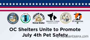 Six Orange County Animal Shelters launch July 4th pet safety campaign