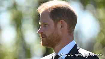 Prins Harry hakt knoop door: Meghan en de kinderen niet mee tijdens bezoek aan Groot-Brittannië