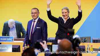 Weidel sichert Machtbasis in der AfD – für Chrupalla läuten die Alarmglocken
