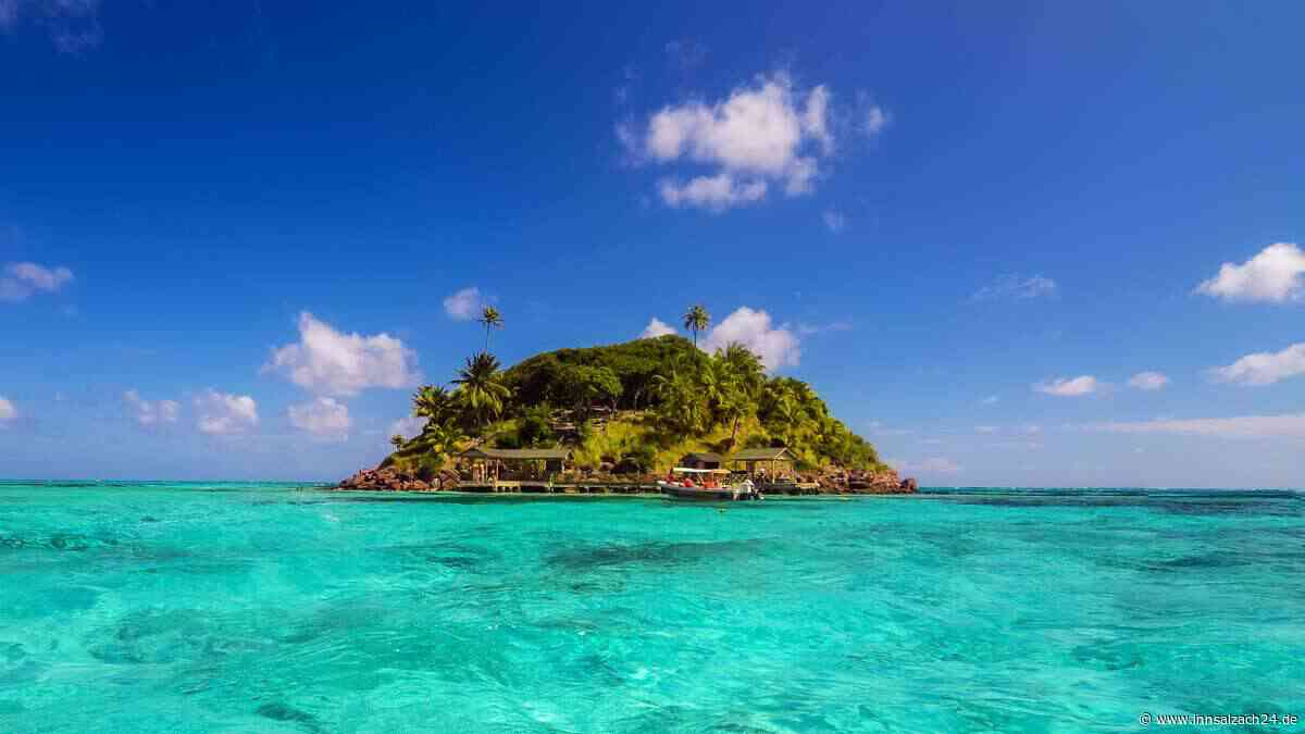 Private Insel in Italien steht zum Verkauf – mit Restaurant, Hafen und Fischfarm