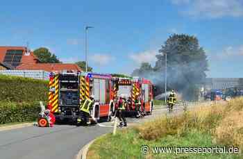 FW Ense: Heckenbrand (Ursache unklar)