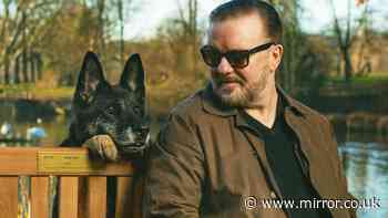 Rick Gervais' urgent plea on trophy hunting ban as he slams 'sick' and 'pathetic' sport