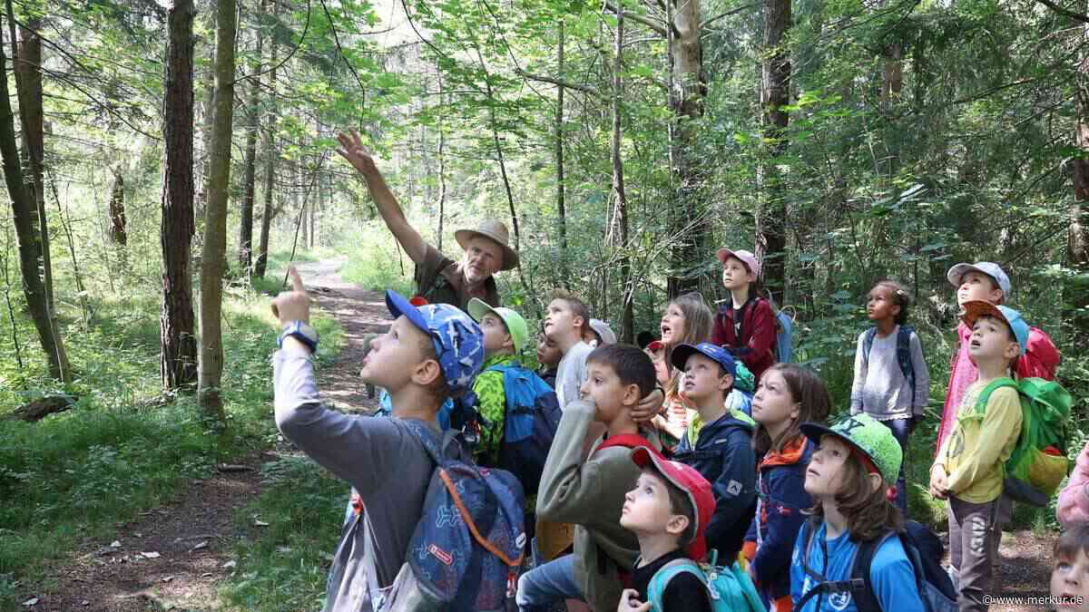Kindern schöne Ferien schenken: Verein sucht Helfer beim Ferienpass