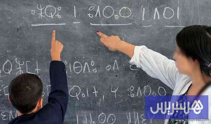 تفاصيل تنظيم الموسم الدراسي المقبل