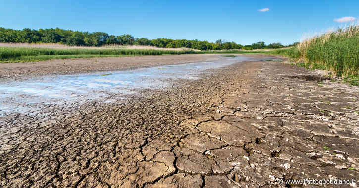 Acqua, una battaglia dopo l’altra – “La trave nel piatto”, la rubrica di Slow Food