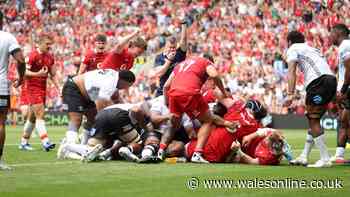 Fiji v Wales verdict: Welsh team has come of age and found a killer tactic