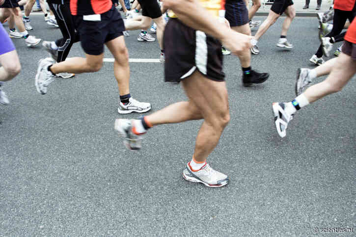 Waarom lopen mannen twee keer zo vaak ’tegen de muur’ bij een marathon?