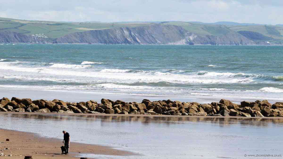 Children caught in rip currents at Wales beach as locals demand lifeguards