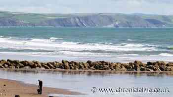 Children caught in rip currents at Wales beach as locals demand lifeguards