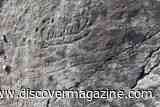 Ancient Boat Carvings Suggest Bronze Age Europe Was More Connected Than We Thought
