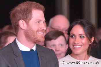 Some Montecito Residents Have a Negative View of Prince Harry and Meghan Markle, Commentator Says