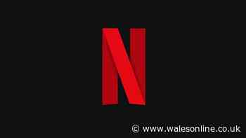 Netflix adapting 'perfect' thriller fans 'can't get enough of'
