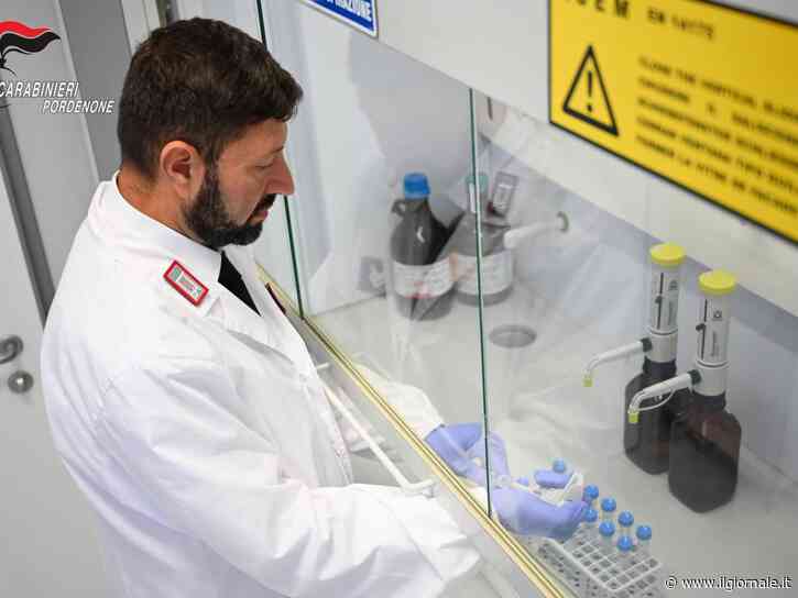 Allarme per la nuova droga 4-Bmc, provoca ansia e allucinazioni: primo caso in Italia