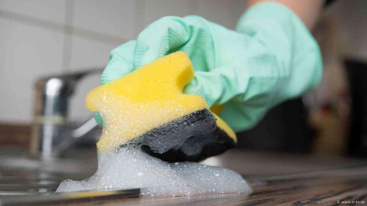 Keimschleudern in der Küche: Stinkt und schmiert nicht? Wann Schwämme wirklich wegmüssen