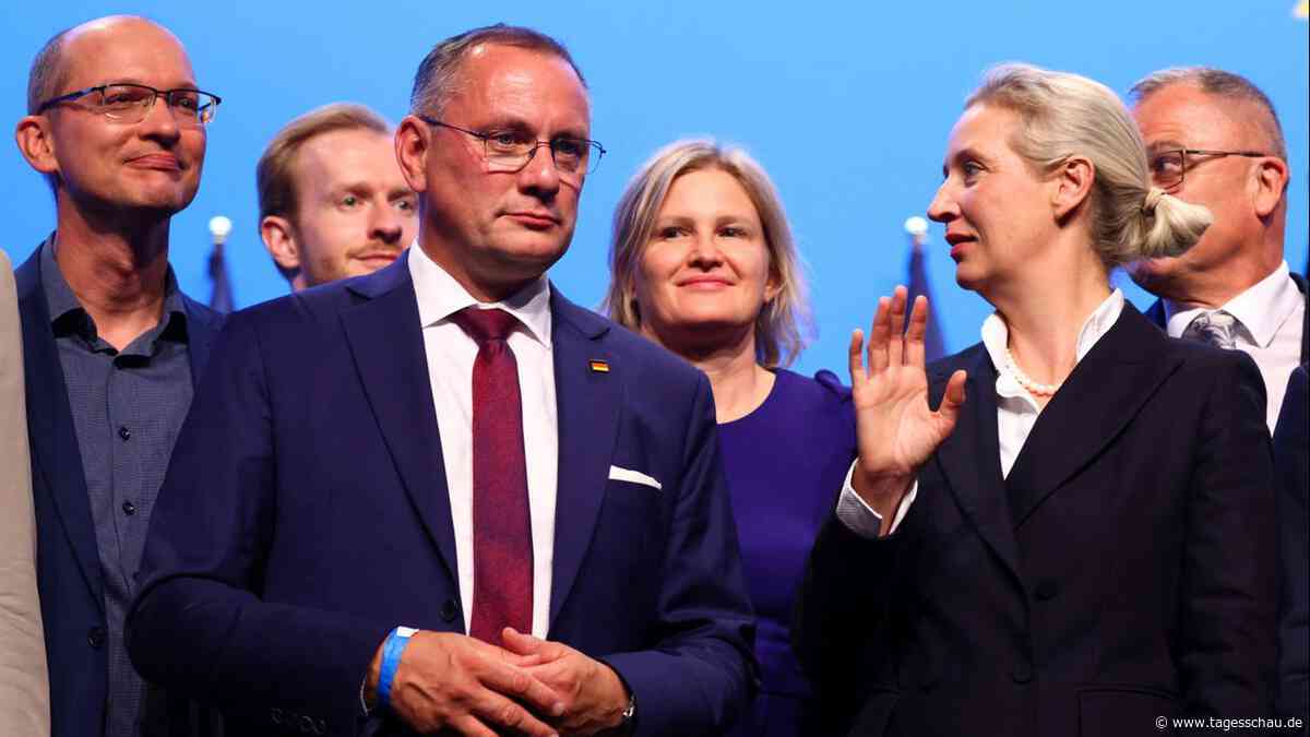 Analyse zu AfD-Bundesparteitag in Erfurt: Professionelle Radikale