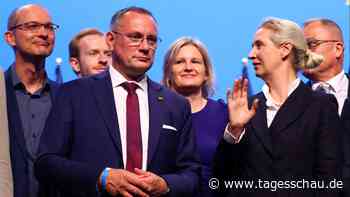 Analyse zu AfD-Bundesparteitag in Erfurt: Professionelle Radikale