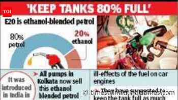 E20 gives 4% lower mileage but safe for engines: Experts