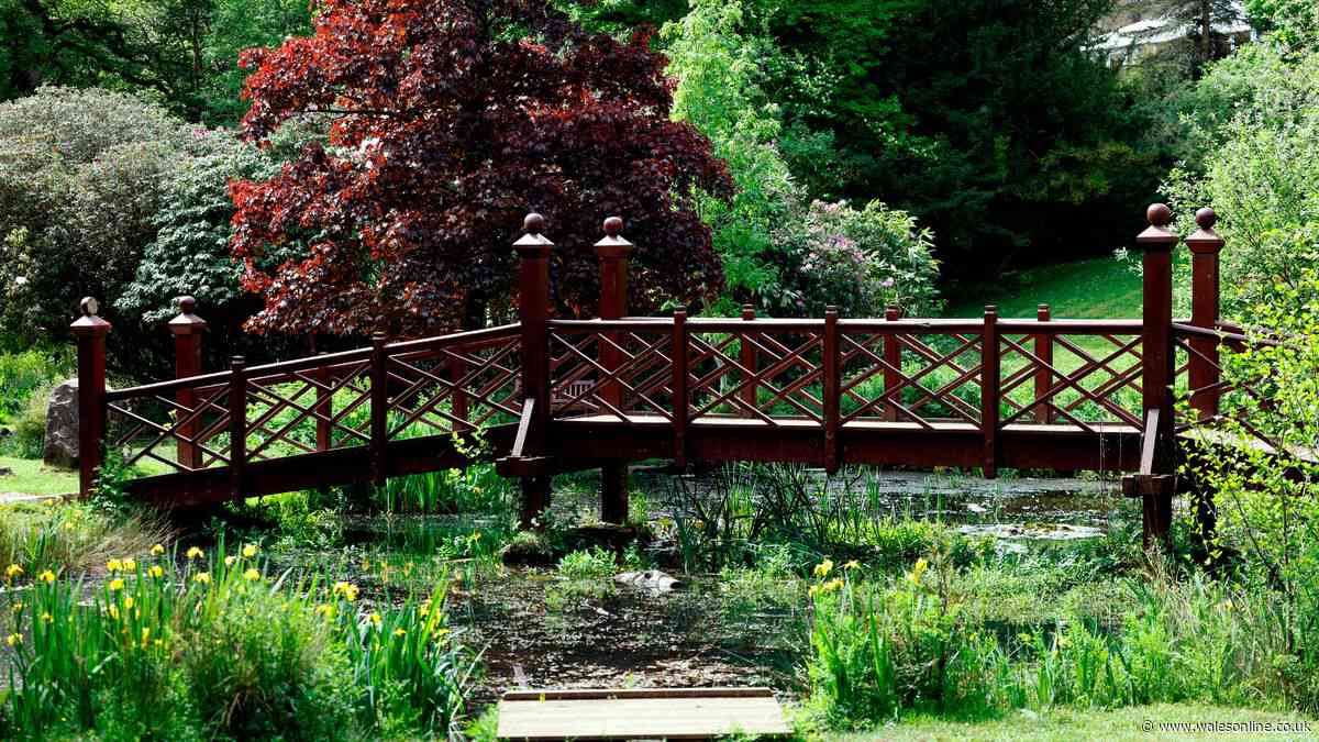 Three-year-old boy in hospital after incident at Bridgend's Bryngarw Country Park